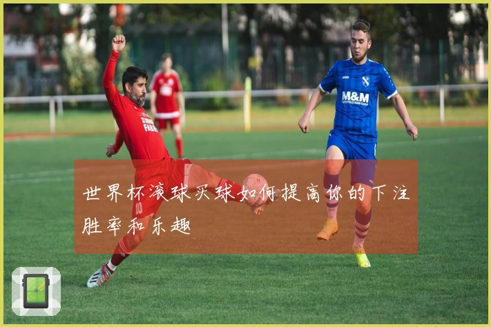 世界杯滚球买球如何提高你的下注胜率和乐趣