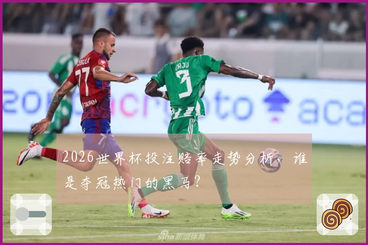 2026世界杯投注赔率走势分析，谁是夺冠热门的黑马？