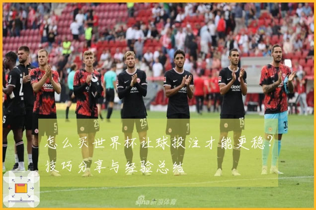 怎么买世界杯让球投注才能更稳？技巧分享与经验总结