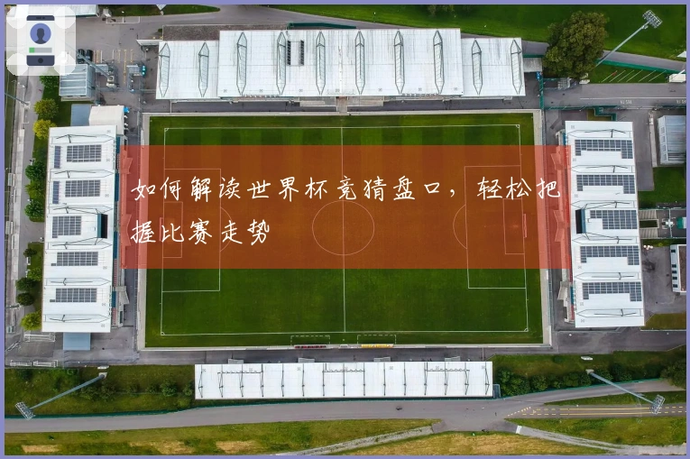 如何解读世界杯竞猜盘口，轻松把握比赛走势