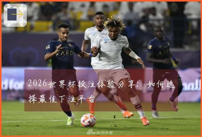 2026世界杯投注体验分享：如何选择最佳下注平台