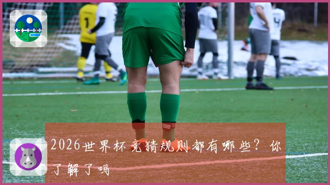 2026世界杯竞猜规则都有哪些？你了解了吗