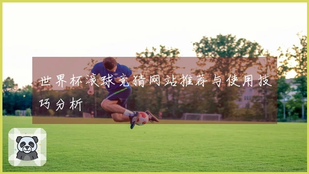 世界杯滚球竞猜网站推荐与使用技巧分析