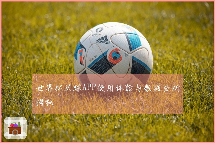 世界杯买球APP使用体验与数据分析揭秘