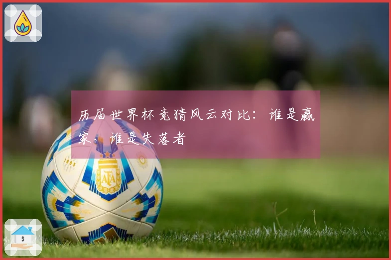 历届世界杯竞猜风云对比：谁是赢家，谁是失落者