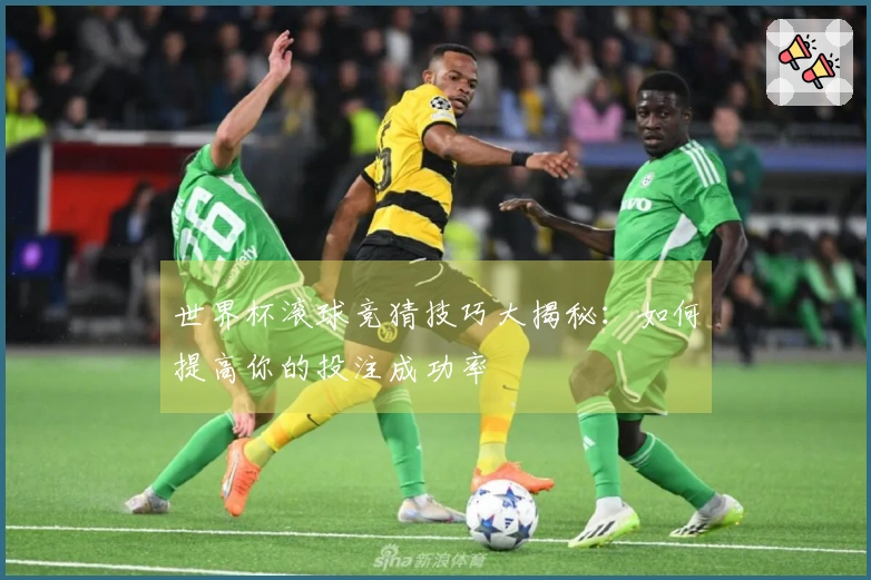 世界杯滚球竞猜技巧大揭秘：如何提高你的投注成功率