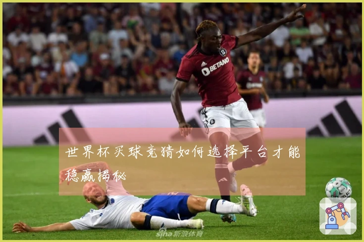 世界杯买球竞猜如何选择平台才能稳赢揭秘